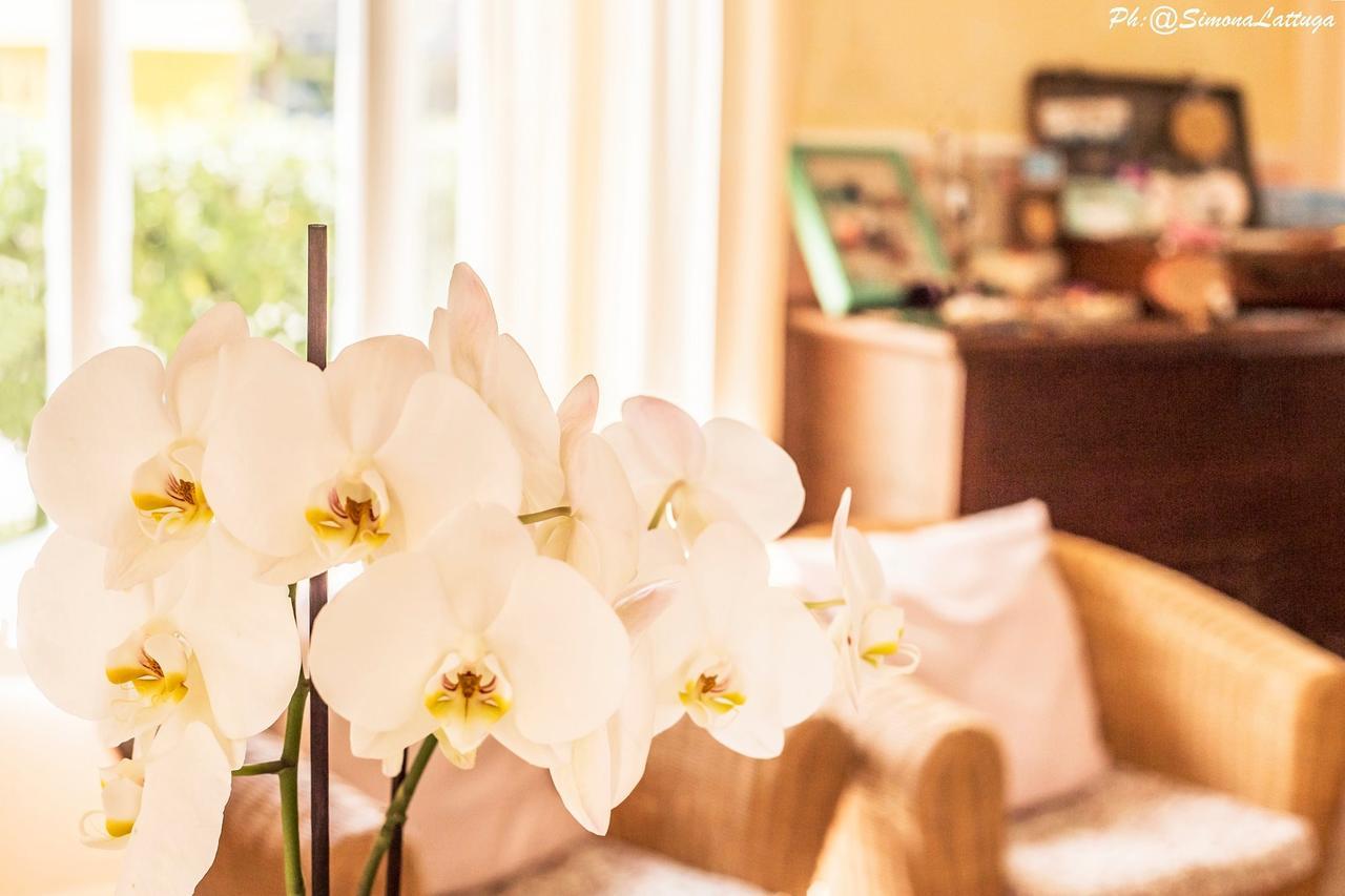 Hotel Ninfea Cervia Eksteriør bilde